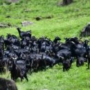 소망건강원 이미지