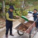 청록환경 Daum카페