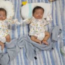 세쌍둥이네 이미지