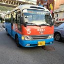 e대일주 이미지