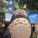 <도토리숲 잠실 롯데월드점> 중토토로 데님스티치 워시타올, 클로버 토토로 헤어고무끈 내돈내산 후기