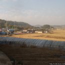 사창3리 이미지