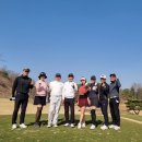 마이골프아카데미