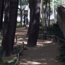 감천리카페 이미지