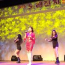 노래하는 아나운서 │한국가수협회인천 노래잔치│공연MC 축제MC섭외 │이화영아나운서