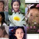 비양 이미지
