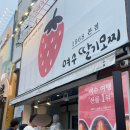 생달포차 | [여수 여행 필수코스3] 이순신광장 먹거리 여수딸기모찌본점 아이스크림 내돈내산 후기, 보관방법