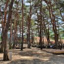 명천마을 이미지