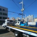 애니카랜드호평점 이미지