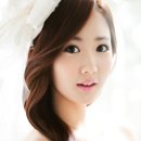 앨리헤어 이미지