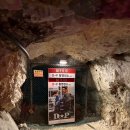 충주시 홀스팜 랜드 | 충주 아이랑 가볼만한 곳 활옥동굴 | 설연휴에도 여는 실내 여행지