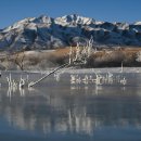 하이 태양광발전소 이미지