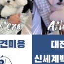 프랑소와펫 신세계대전점 이미지