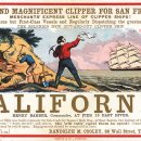 금광천막 이미지