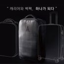 엠비치오넴 이미지