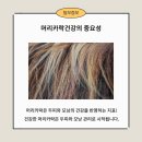 모가나의원 이미지