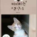 커피타는 고양이 이미지