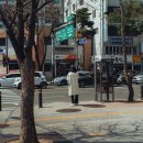 톡톡 티스토리