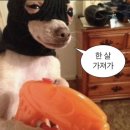 스물넷 11-12월 몰아보기