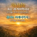 교회는 미친듯이 심풀해져야 한다 이미지