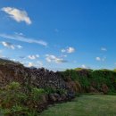 딸기네 민박 이미지