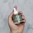 다래 | 화잘먹 앰플 추천 동구밭 다래앰플 캡슐 선앰플 사용 후기