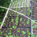 이쁜농장 이미지