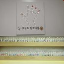 랑코네일