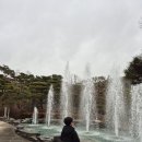 소노문단양BBQ2호점 | 2박 3일 단양, 제천여행 4탄 _ 소노벨 단양 웨스트 동...히어로즈, 오락실, 노래방, BBQ 등 이용 후기!