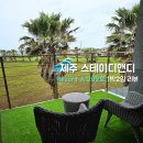 “서귀포 오션뷰 풀빌라 ‘스테이 디앤디’ Resort A 202호 1박 2일 솔직 후기”