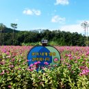 당진산소 이미지