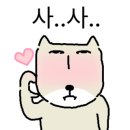 진미손칼국수 이미지