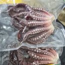 사천항포구 | 강릉낚시체험 초보도 가능했던 아리아호 배낚시체험 리얼 후기