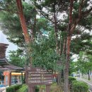 도서관어린이공원 이미지