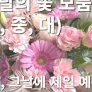 우리꽃배달