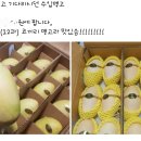 판다진 이미지
