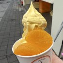 해오름달보름