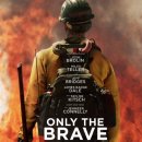 Brave hill 이미지