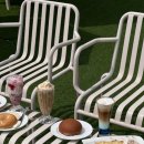 성지애견 이미지