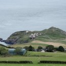 조이노스 이미지