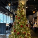 분당-319 | 내돈내산 분당 판교 스테이크 | 기념일 | 데이트 맛집 [데이빗앤롤스]