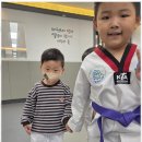 퍼스트 태권도장 이미지