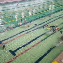 표선생활체육관(실내) 이미지