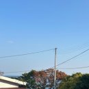 영덕 오션뷰 카라반 캠핑장 이미지