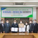 법무법인대전합동