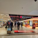 필러스영어 | 호주_시드니여행 / 시드니공항 입국부터 출국까지, 호주공항 면세점