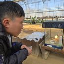 늘푸름농장 이미지