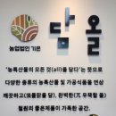 담올 이미지