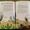 오케이선인장 이미지