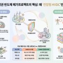 호남권 반도체 메가프로젝트의 성공을 위한 계통공학적 제언